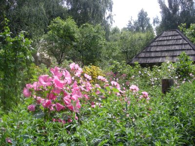 På Lvivs friluftsmuseum Skansen.